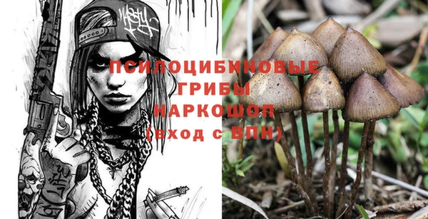 дурь Бежецк